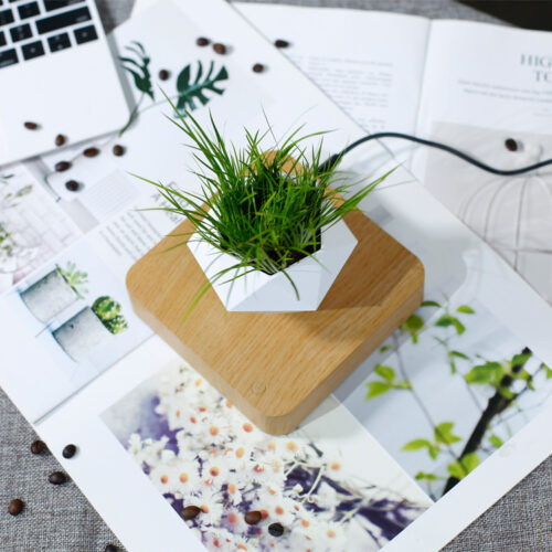 Magnetic Levitation Polygonal Plant - Image 3