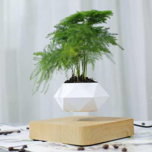 Magnetic Levitation Polygonal Plant