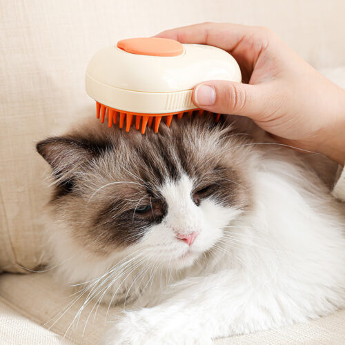 Electric Steamy Cat Brush - Image 3